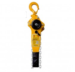 Delta Ratchet Hoist