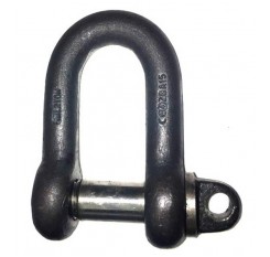 British Standard Screw Pin Large Dee Shackle
