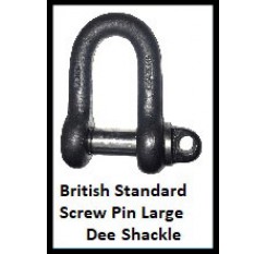 British Standard Screw Pin Large Dee Shackle