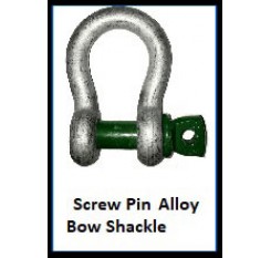 Screw Pin Alloy Bow Shackle