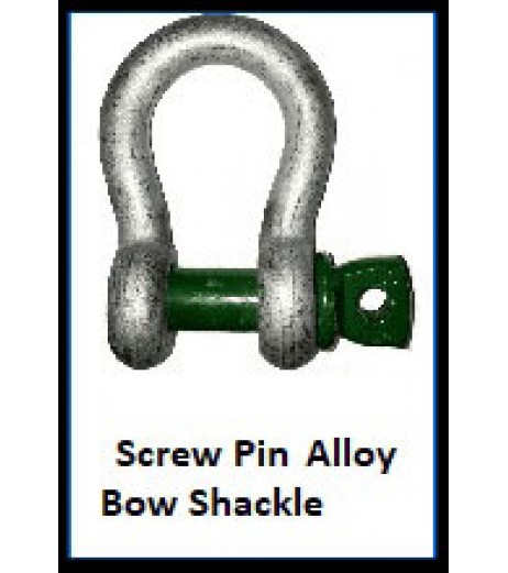 Screw Pin Alloy Bow Shackle