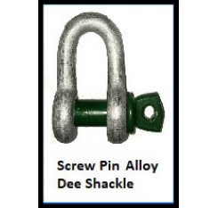 Screw Pin Alloy Dee Shackle