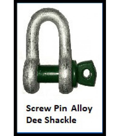 Screw Pin Alloy Dee Shackle