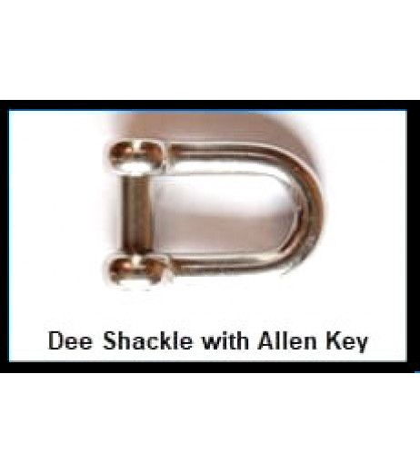 Stainless Steel D Shackle with Allen Pin