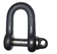 British Standard Screw Pin Large Dee Shackle