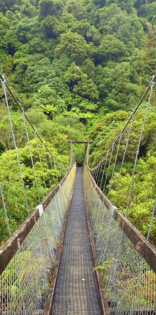 suspension bridges in the construction industry