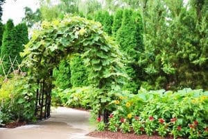 garden trellis systems